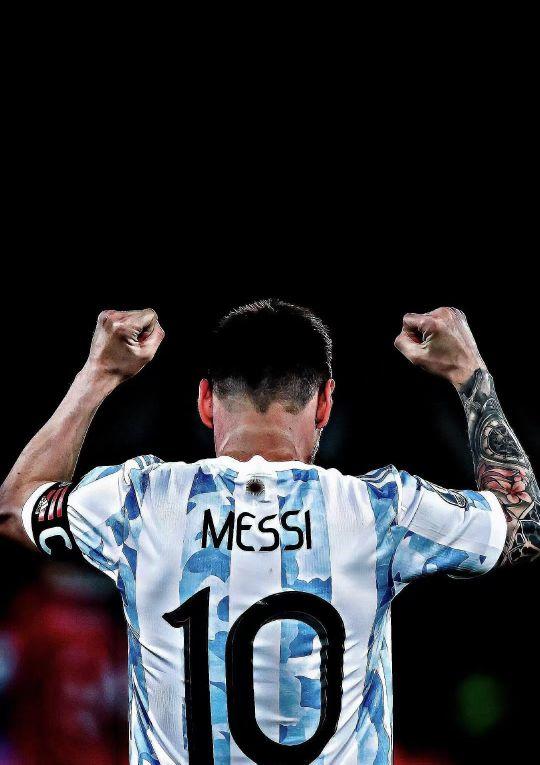 慧与帕尔默 慧与帕尔默