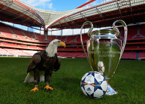 体育中国女 体育中国女