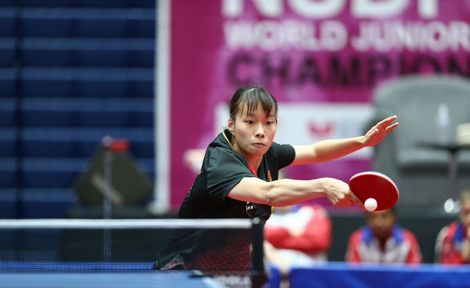 手参与勒芒 手参与勒芒